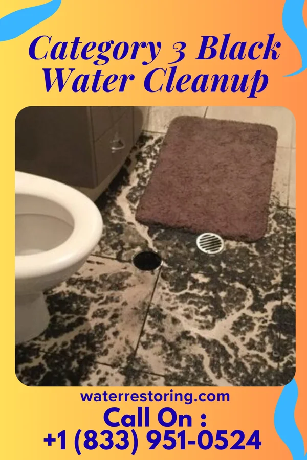 Category 3 Black Water Cleanup in Altus, OK
